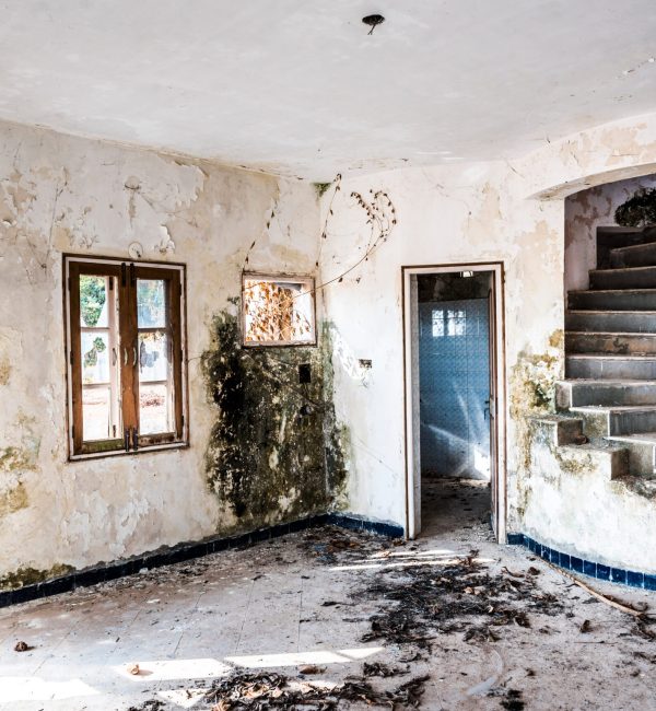 ruins-of-abandoned-derelict-old-buildings-of-a-ho-2026-01-05-00-26-50-utc (1)